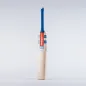 Gray Nicolls Hypernova Gen 1.1 5 Star Lite Junior Cricket Bat (2023)