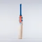 Gray Nicolls Hypernova Gen 1.1 300 Junior Cricket Bat (2023)