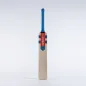 Gray Nicolls Hypernova Gen 1.1 300 Junior Cricket Bat (2023)