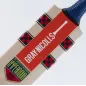 Gray Nicolls Hypernova Power Junior Cricket Bat (2023)