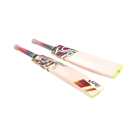 Kookaburra Beast 3.1 Cricket Bat (2023)