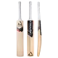 Chase R7 Finback Junior Cricket Bat (2024)