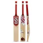 DSC Flip 440 Junior Cricket Bat (2023)