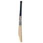 World Class Willow Pro X20 Reserve Cricket Bat - Orbit (2023)