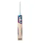World Class Willow Pro X 5 Star Cricket Bat - Ocean (2022)