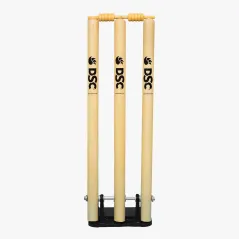 DSC Spring Back Stumps