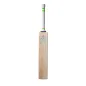 Newbery Kudos 5 Star Cricket Bat (2023)