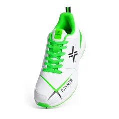 Payntr V Cricket Spikes - White/Green (2023)
