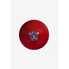 Shrey Meta VR Happy Birthday Hockey Ball - Red
