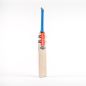 Gray Nicolls Tempesta Gen 1.1 Players Cricket Bat (2024)