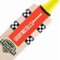 Gray Nicolls Tempesta 1.0 Warrior Junior Cricket Bat (2024)