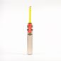 Gray Nicolls Tempesta 1.0 Warrior Junior Cricket Bat (2024)