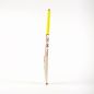 Gray Nicolls Tempesta 1.0 Warrior Junior Cricket Bat (2024)