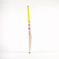 Gray Nicolls Tempesta 1.0 Warrior Junior Cricket Bat (2024)