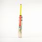 Gray Nicolls Tempesta 1.0 Warrior Junior Cricket Bat (2024)