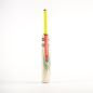 Gray Nicolls Tempesta 1.0 Warrior Junior Cricket Bat (2024)