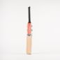 Gray Nicolls Shockwave 2.0 Thunder Junior Cricket Bat (2024)