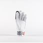 Gray Nicolls GN250 Cricket Gloves (2024)