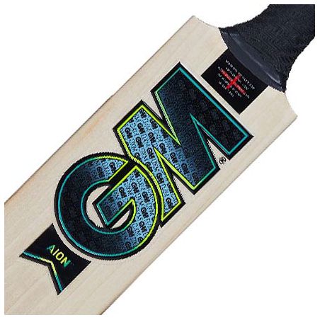 GM Aion 404 Cricket Bat (2024)