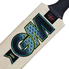 GM Aion 808 Cricket Bat (2024)