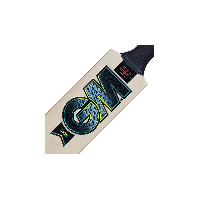 GM Aion 606 Junior Cricket Bat (2025)
