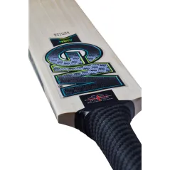GM Aion 606 Cricket Bat (2024)