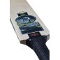 GM Aion 808 Cricket Bat (2024)