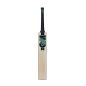 GM Aion 808 Cricket Bat (2024)