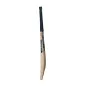 GM Aion 606 Cricket Bat (2024)