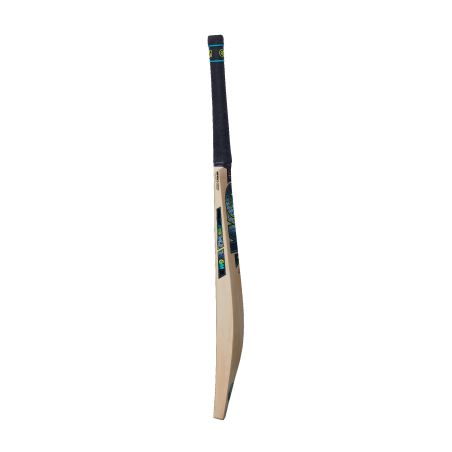 GM Aion 808 Cricket Bat (2024)