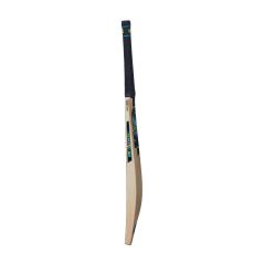 GM Aion 606 Junior Cricket Bat (2024)