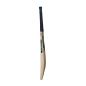 GM Aion 606 Junior Cricket Bat (2025)