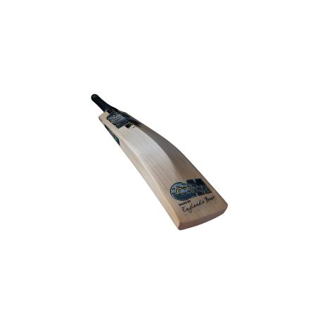 GM Aion 606 Junior Cricket Bat (2024)