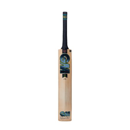 GM Aion 808 Cricket Bat (2024)