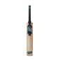 GM Aion 808 Cricket Bat (2024)