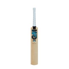 GM Diamond 101 Cricket Bat (2024)