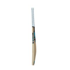 GM Diamond 101 Cricket Bat (2024)