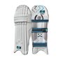 GM Diamond Original Cricket Pads (2024)