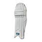 GM Diamond Original Cricket Pads (2024)