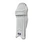 GM Mana 909 Cricket Pads (2024)