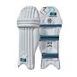 GM Diamond 404 Cricket Pads (2024)