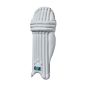 GM Diamond 404 Cricket Pads (2024)