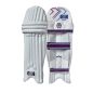 GM Mana Cricket Pads (2024)