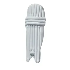 Almohadillas de críquet GM 202 (2024)