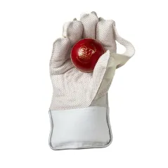 GM 606 Wicket Keeping Gloves (2024)