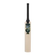 GM Aion Miniature Cricket Bat (2024)