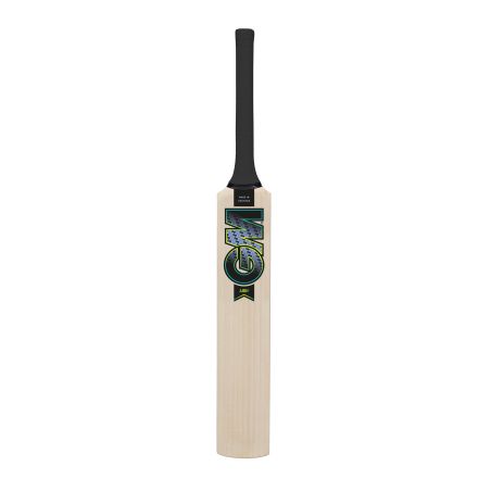 GM Aion Miniature Cricket Bat (2024)