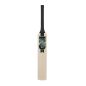 GM Aion Miniature Cricket Bat (2024)