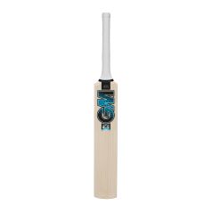 GM Diamond Miniature Cricket Bat (2024)