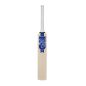 GM Mana Miniature Cricket Bat (2024)